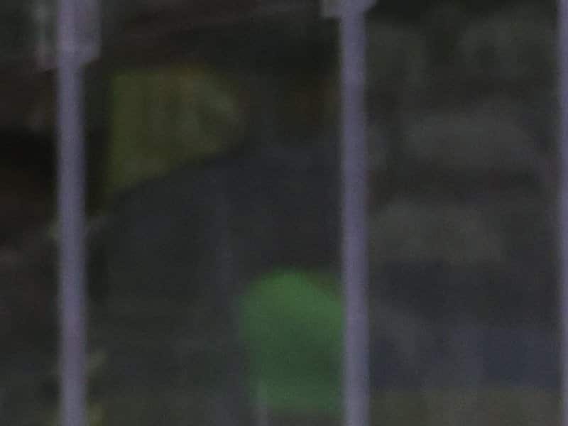 Tristan Luneau se démarque