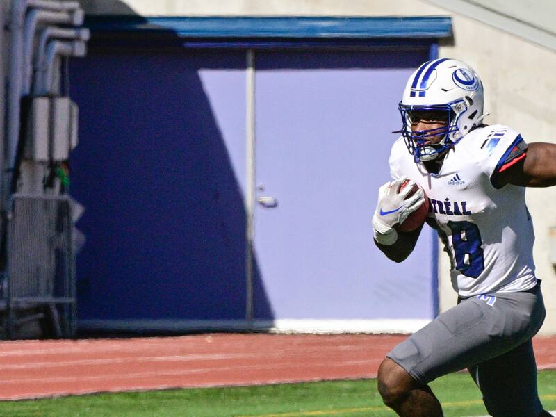 Carabins : redevenir dangereux au sol