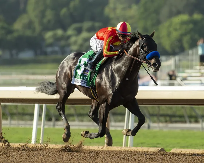 Sur une photo fournie par Benoit Photo, Cave Rock et son jockey Juan Hernandez remportent la course hippique American Pharoah Stakes, Grade I, 300 000 $, samedi 8 oct. 8 octobre 2022, à Santa Anita à Arcadia, Californie.