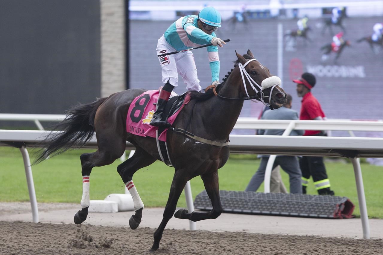 La championne Queen’s Plate Moira participera à l’événement E.P. Taylor Stakes de 750 000 $