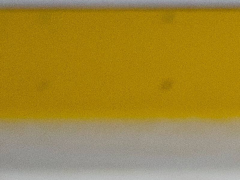 Les Huskies retirent la bannière de Mike Ribeiro