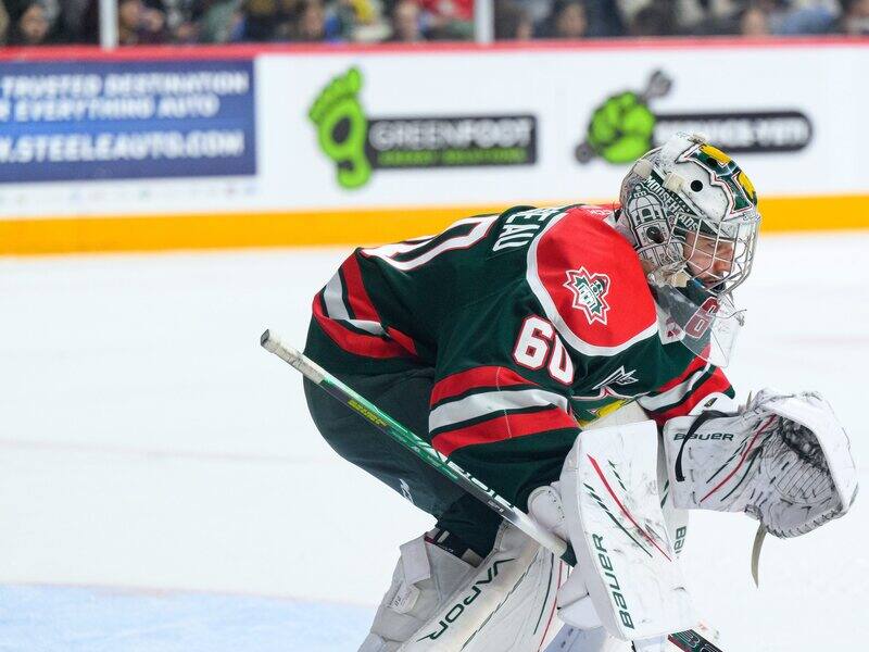 Les Mooseheads rÃ©pliquent aux Remparts – TVA Sports