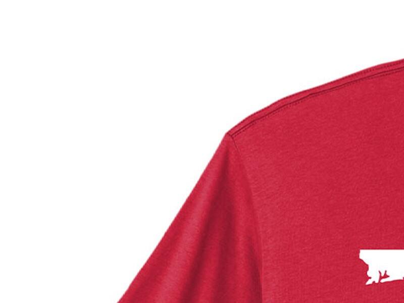 Un t-shirt pour narguer les partisans des Leafs – TVA Sports