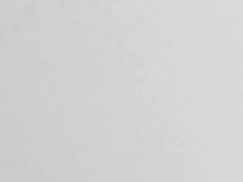 HKN-HKO-SPO-2019-NHL-DRAFT-PORTRAITS