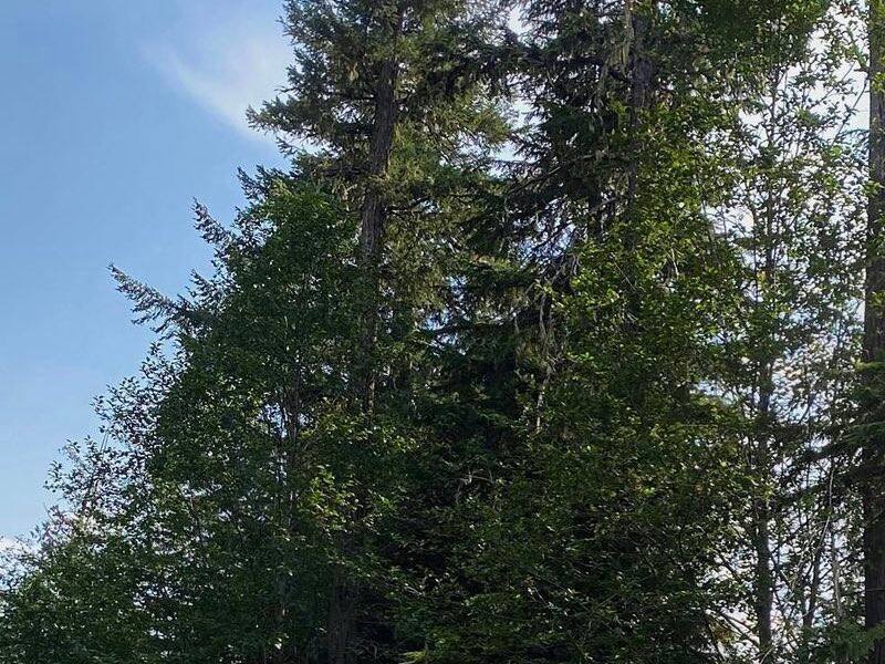 Brendan Gallagher se fiance avec une QuÃ©bÃ©coise – TVA Sports