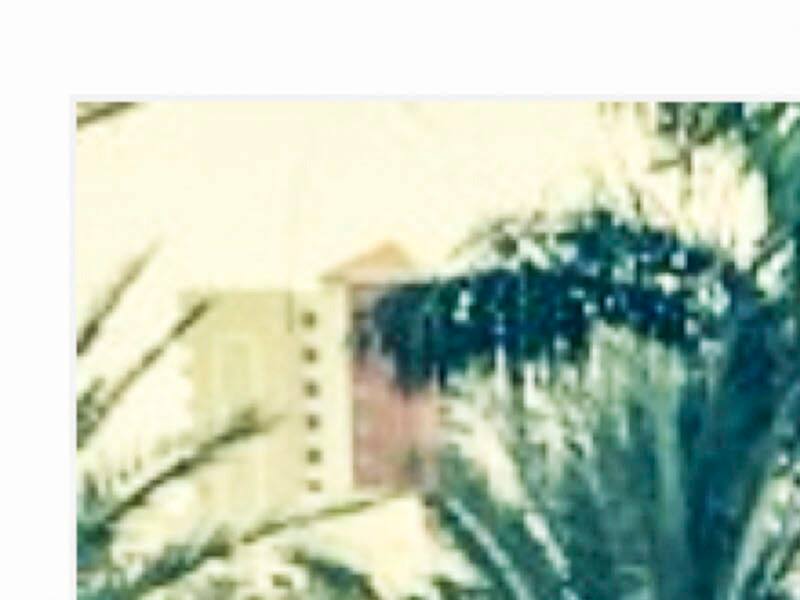 Alex et Alexander Galchenyuk