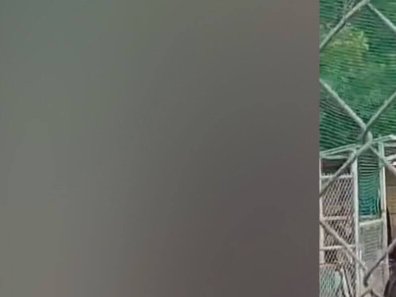 Baseball mineur: deux jeunes arbitres ciblÃ©s par un entraÃ®neur hors de contrÃ´le – TVA Sports