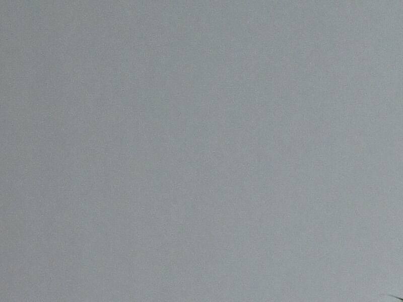 Une romance qui se poursuit pour Tom Brady – TVA Sports