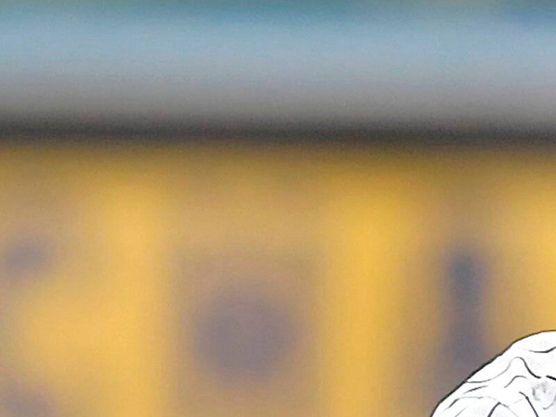 Baseball: Les Capitales pourront tenter de dÃ©fendre leur titre de la Ligue Frontier – TVA Sports