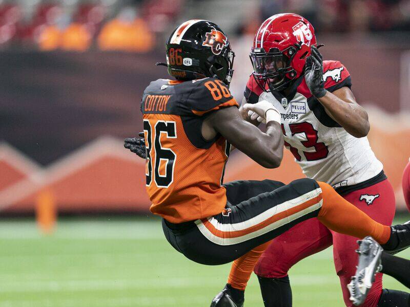 Du renfort pour les Alouettes? – TVA Sports